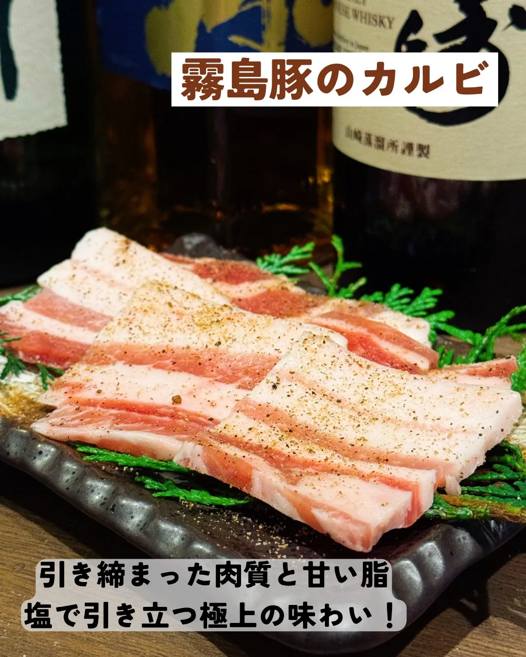 本日は波の日🌊