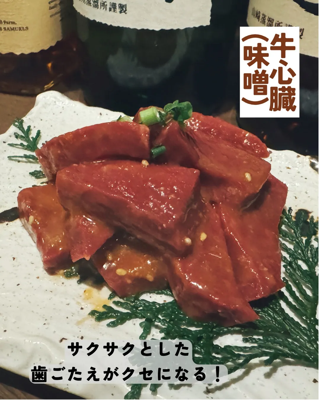 今日は幽霊の日です👻