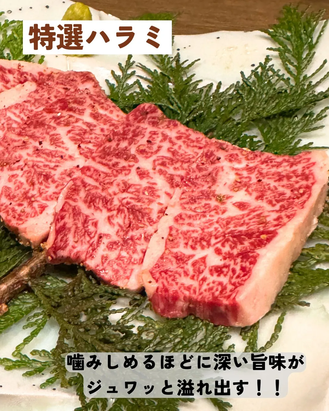 今日は世界ぞうの日です🐘。