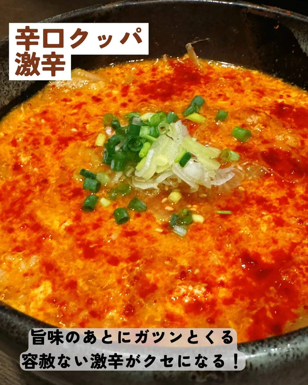 本日は冒険家の日です!
