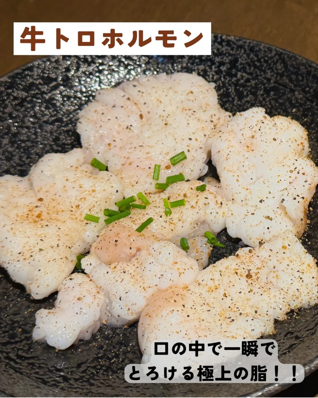 本日は競馬の日です🏇