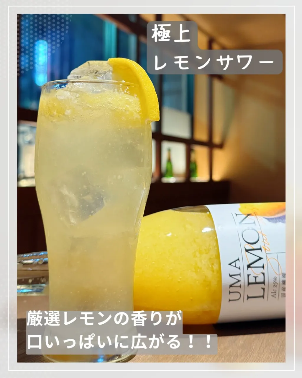 本日は競馬の日です🏇